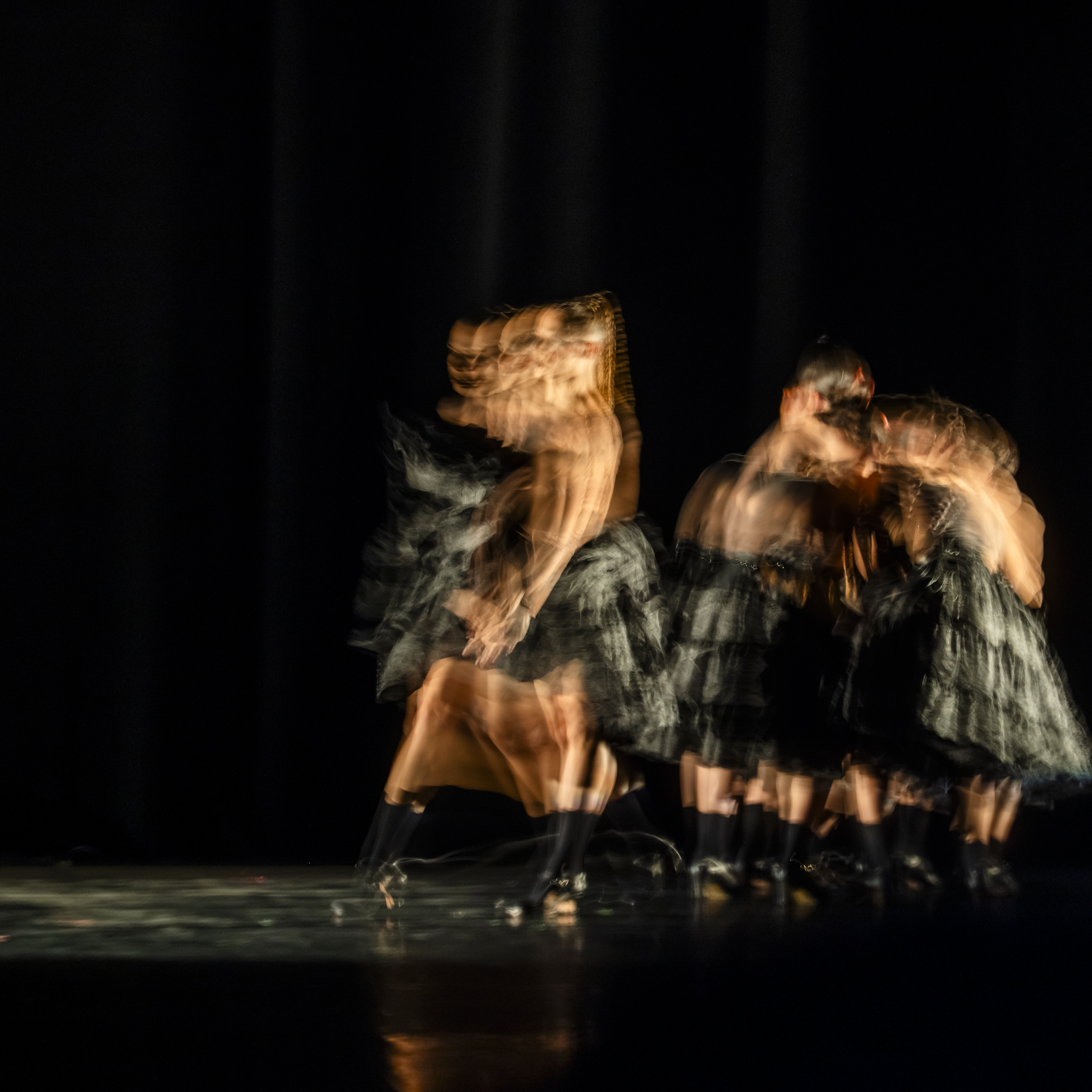 La ternura del caballo negro